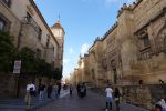 PICTURES/Cordoba - Mosque-Cathedral/t_Mosque-Cathedral 2.JPG